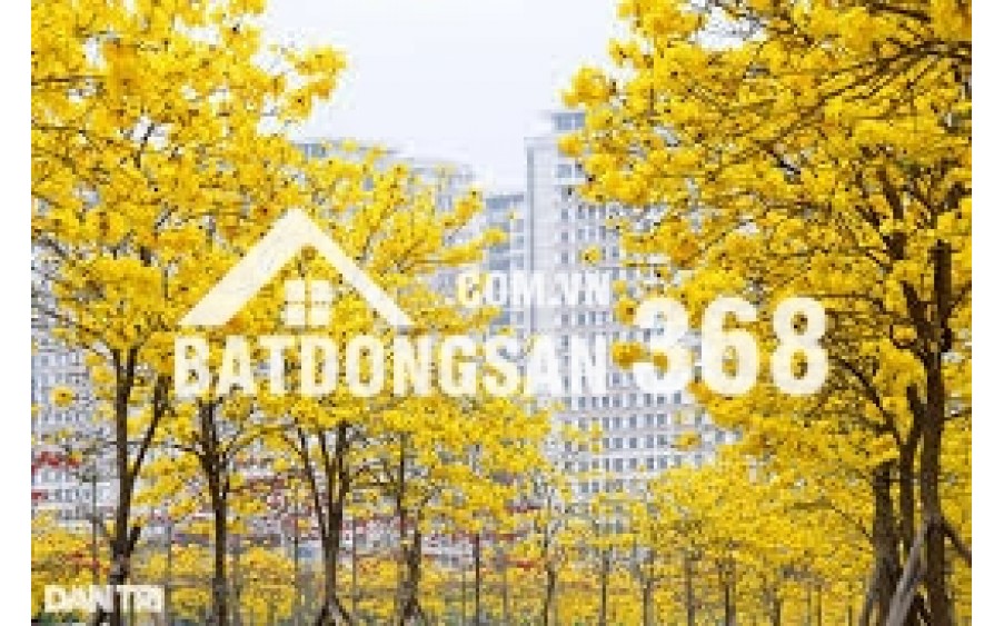 Phố Hiến City - Bình Minh Phố Hiến, mở bán đợt 1 tại Khoái Châu - Hưng Yên